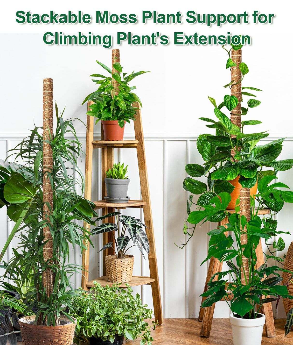 EAONE 96'' Moss Pole for Plants Indoor, 6 Pack 16” Monstera Plant Support Moss Stick for Climbing Plants, Stackable Coir Totem Pole Monstera Stakes with 12 Plant Labels & 100 Ties for Potted Plants