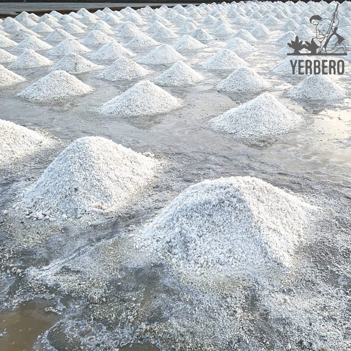 Yerbero - Premium Colima Sea Salt Unrefined 1 lb (456 g) | 100% All Natural Sea Salt, Gourmet Grade, Non GMO's. | Hand Harvested | Imported From Lagoon Cuyutlán “Tepalcates” Colima, Mexico.