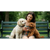 Plaque Attack Pet Dental Spray
