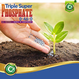 Triple Super Phosphate 0-46-0 Fertilizer Made in USA - Bloom Booster - TSP Pure Phosphorus Plant Food for Plants & Flower Gardens - Fruit, Vegetables