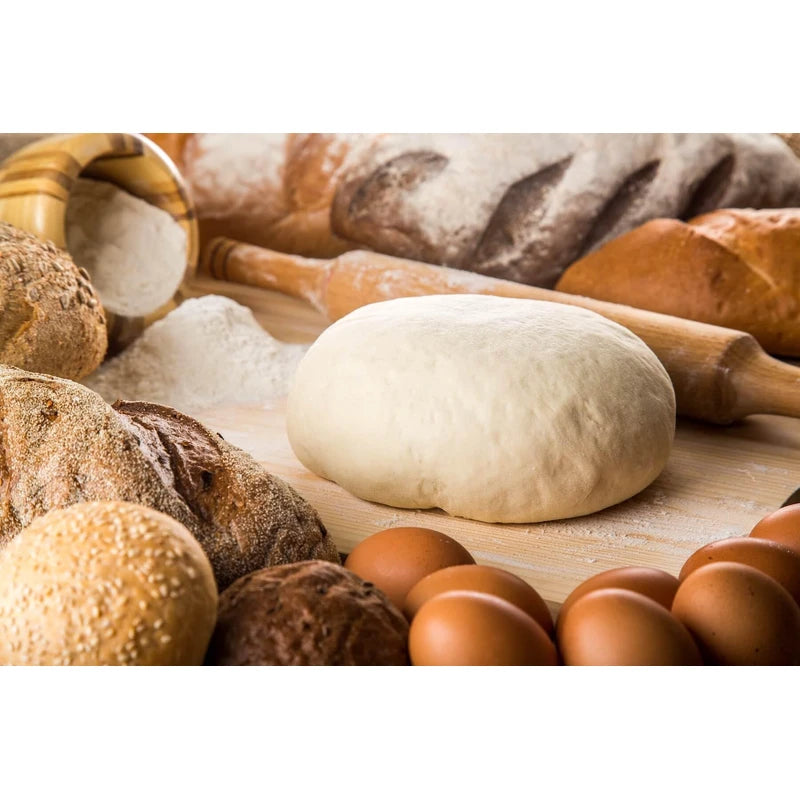 Saf Levure Active Dried Yeast 500g LeSaffre general purpose active yeast