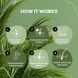 (2-Pack) 10 in 1 Hair Growth Oil (2 Oz) | Formulated With African Chebe Powder For Extreme Hair Growth, 2 Fl Oz (Pack of 1), 2.0 ounces