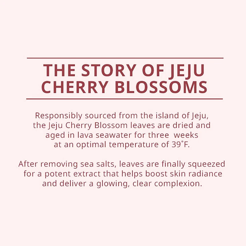 innisfree Cherry Blossom Dewy Glow Jam Cleanser Daily Face Wash, 32 Fl Oz (Pack of 1)