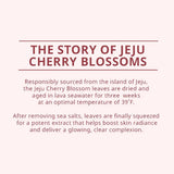 innisfree Cherry Blossom Dewy Glow Jam Cleanser Daily Face Wash, 32 Fl Oz (Pack of 1)