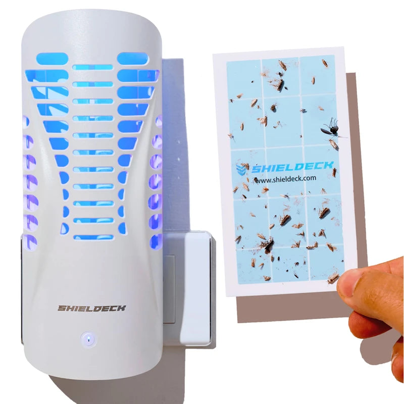Shieldeck Flying Insect Trap Plug in - Indoor Fruit Fly Trap, Gnat Trap, and Mosquito Trap - Bug Catcher Traps with UV Light for House Indoors (1 Device + 5 Refills) (Device)