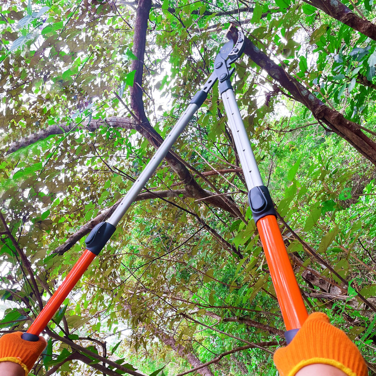 Prunrt Loppers for Tree Trimming Heavy Duty, 26-40 Inch Handle Telescopic Tree Trimmer, Sync Drive Leverage Pruner, 2 Inch Branch Cutter