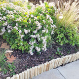 FOREVER BAMBOO Natural Eucalyptus Wood Solid Log for Garden Edging Lawn Landscape Fence Borders 72 in L x 6 in H x 1.25 in D