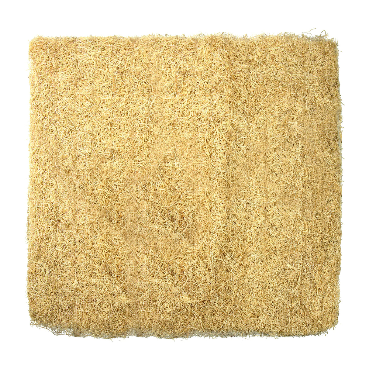Champion Cooler Evaporative Cooler Media, 27 1/2 x 27 3/4 in, Uncoated 110098-1 Each
