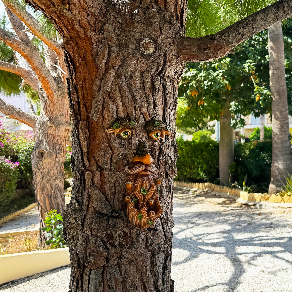 Mood Lab Tree Face Decor with Acorns - Old Man Tree Face Garden Hugger Decoration - Outdoor Tree Decoration