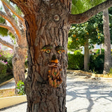 Mood Lab Tree Face Decor with Acorns - Old Man Tree Face Garden Hugger Decoration - Outdoor Tree Decoration