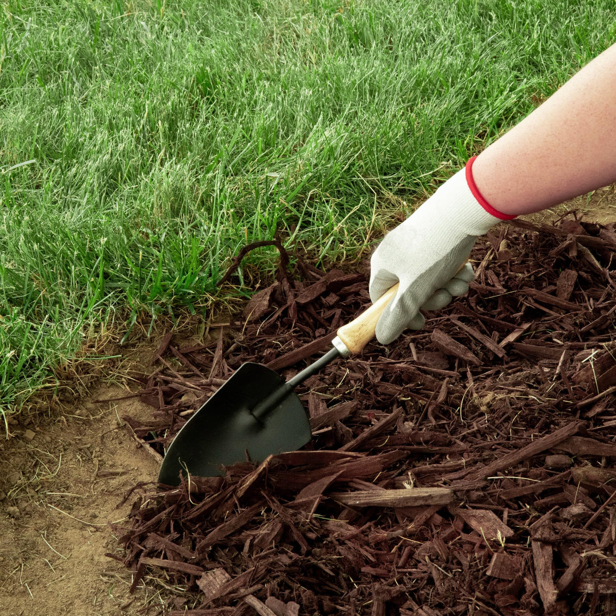 EasyFlex 4 Inch No Dig Landscape Edging Kit, 75 Foot Black Plastic Edging Coil with 64 Spiral Anchoring Spikes for Gardening Edging, Separating Yard Areas, and Flower Bed Borders