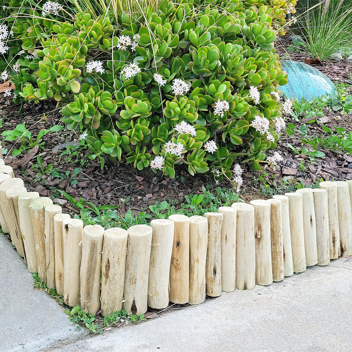 FOREVER BAMBOO Natural Eucalyptus Wood Solid Log for Garden Edging Lawn Landscape Fence Borders 72 in L x 6 in H x 1.25 in D