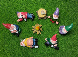 Arggidan 9pcs Miniature Gnomes Sets with Fire and Furniture - for Fairy Garden Decoration and Home Ornament
