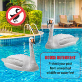 Galashield Swan Decoys for Geese | Large Floating Swan Decoy for Pool, Pond & Lake [2 Pack]