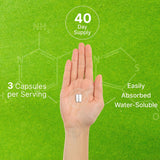 DEAL SUPPLEMENT Citicoline CDP Choline, 1,000mg Per Serving, 120 Capsules – Extra Strength Choline Supplements – Nootropic B Vitamin Properties – Promotes Brain Health, Memory, & Focus – Non-GMO