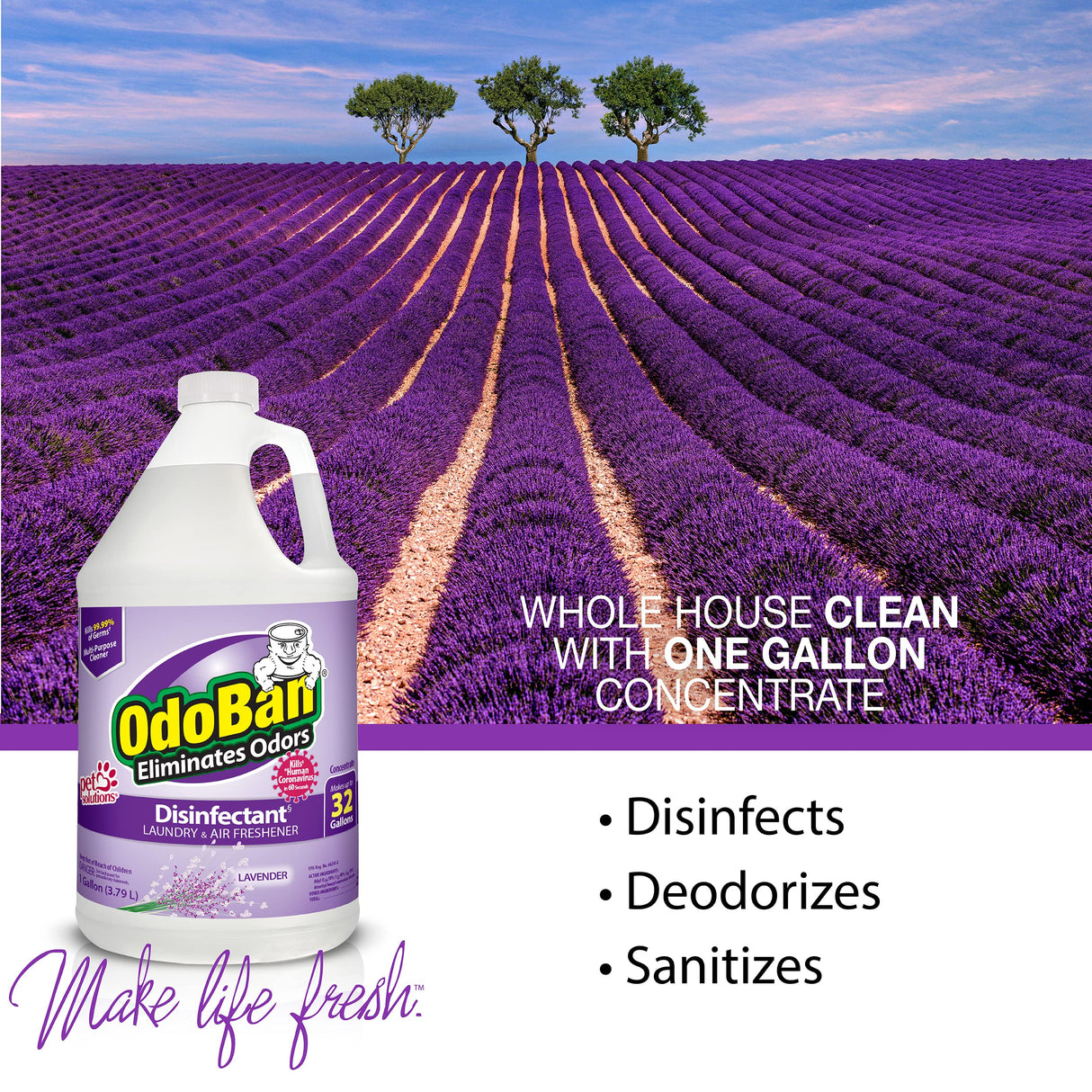 OdoBan Disinfectant Concentrate and Odor Eliminator, Made in the USA, Lavender Scent, 4 Gallons