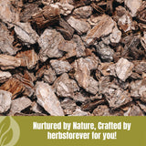 Herbsforever Organic Varuna Crataeva Nurvala Powder 230g Non-GMO, Vegan Extract for Bladder and Kidney Function Support, Promotes Natural Balance and Wellness