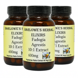 3 Pack Barlowe's Herbal Elixirs Fadogia Agrestis Extract - 60 600mg VegiCaps - Stearate Free, Glass Bottle!