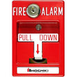 Hochiki DCP-AMS-KL Manual Pull Station