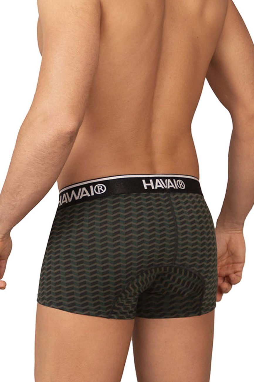 HAWAI Printed Trunks