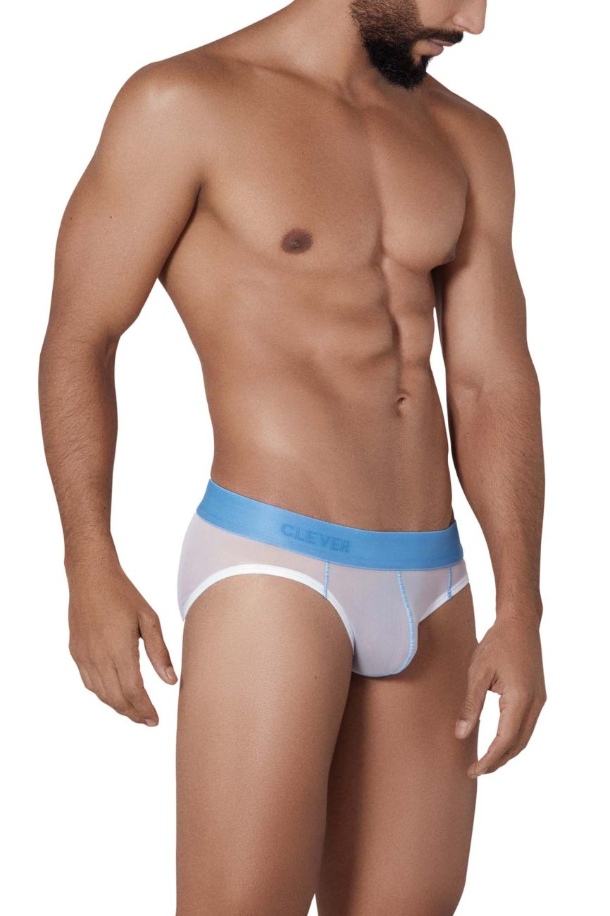 Clever Hunch Briefs