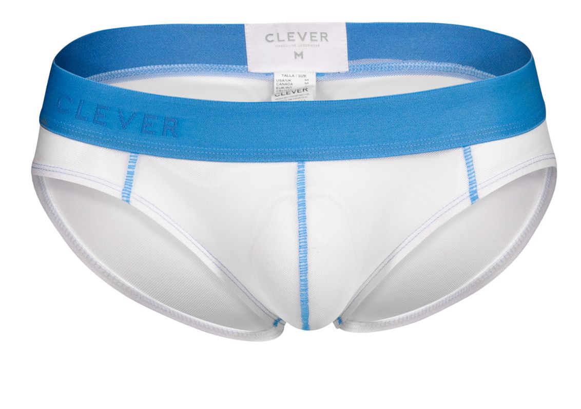 Clever Hunch Briefs
