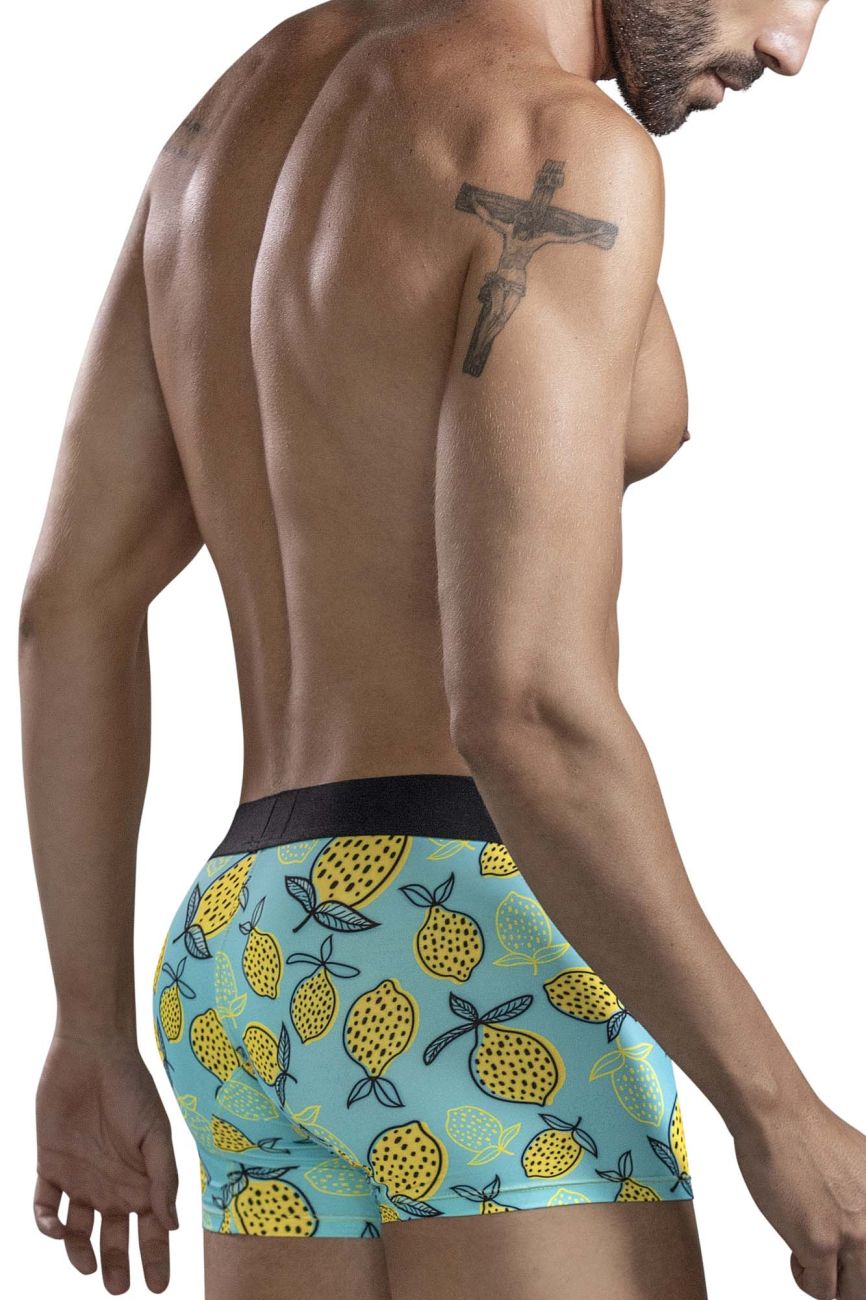 Lemons Trunks