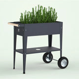 Herstera 8933901 Garden Trolley Wheeled Planter, Anthracite
