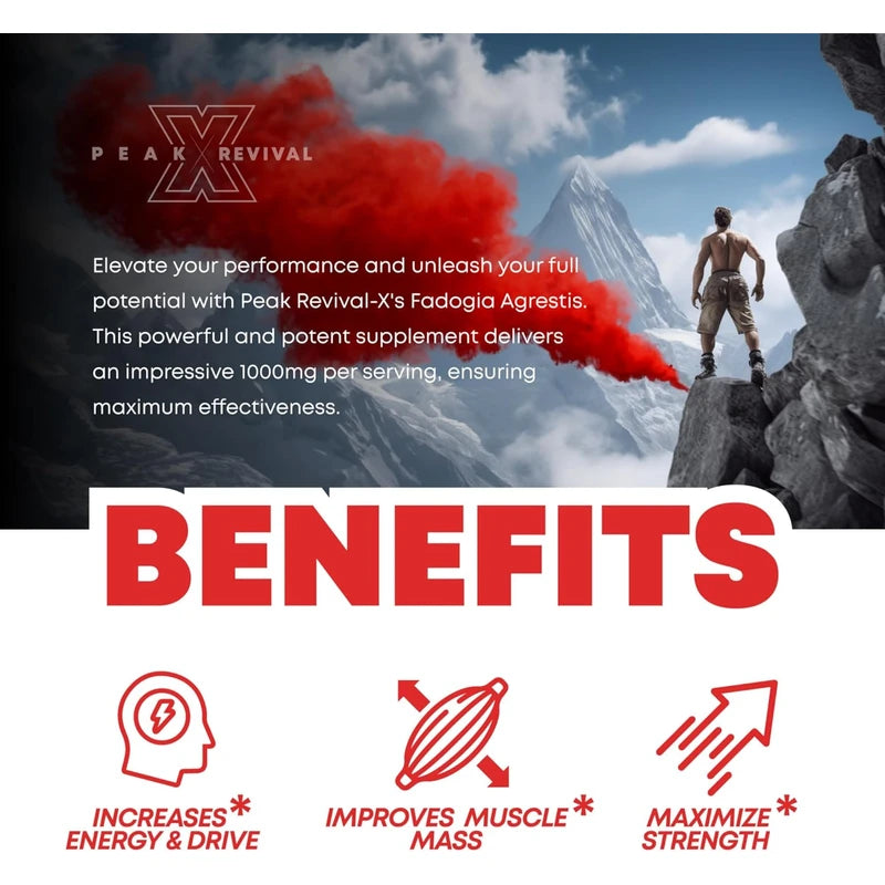 Fadogia Agrestis 1000mg Per Serving Supplement - Potent Extract to Increase Energy, Athletic Performance & Muscle Mass - Supplements, Made in The USA (60 Capsules)