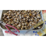 Hickory 2024 NEW CROP NATURAL 1# Wisconsin Shelled Hickory Nuts 1 lb. one pound