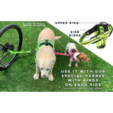 Dog Bike Leash, Hands Free Dog Leashes. Dog Bicycle Lead for Small, Medium and Large Dogs, Designed to Lead one or More Dogs with Maximum Safety, Easy Assembly Without Tools. Patented Product.