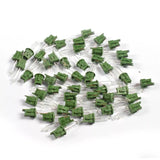 BALSAM HILL CLEAR Incandescent Bulbs (NOT LED) - 35 Count, no master, no fuses