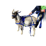 Goat Pulling Harness With Tugs Padded Pull Wagons, Carts, Sleds, Brush (Standard, Blue)