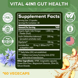 Vital Gut Health 4in1 Formula with Apple Cider Vinegar, Prebiotics & Probiotics, Digestive Enzymes for Strong Immunity Support and Complete Gut and Digestion Support