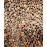 Unbranded $20 New Mexico Piñon, Pinon Pine Nuts, 2024 Harvest, Roasted & Salted  Or Raw