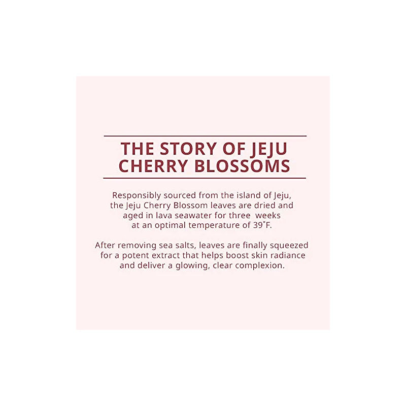 innisfree Cherry Blossom Dewy Glow Jam Cleanser Daily Face Wash, 32 Fl Oz (Pack of 1)