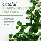 Optimal Health Systems Digest-A-Meal Gut Health | Bloating, Acid Reflux, & Indigestion Relief | Digestion Supplement