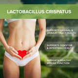 Lactobacillus Crispatus Probiotic Supplement 240 Tablets 3 Billion CFU Probiotics for Men & Women Supports Vaginal Digestive & Gut Health Made in The USA (240, Lactobacillus Crispatus)
