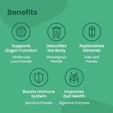 MIXHERS Hergreens - Greens & Veggie Powder - Made from Whole Foods - with Digestive Enzymes & Kale - Nutrition Designed for Women - Support Heart & Liver - 15 Drink Packets - Mango