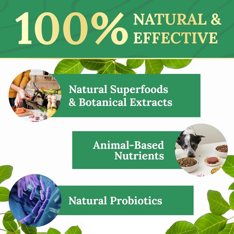 Natures NutriWave Pawbiotix Liquid probiotics for Dogs - Dog probiotics for Digestive Health | 100% Natural Dog Gut Health probiotics | probiotics for Dogs | Original Formula, Beacon Flavor, 1oz, 1 Month Supply