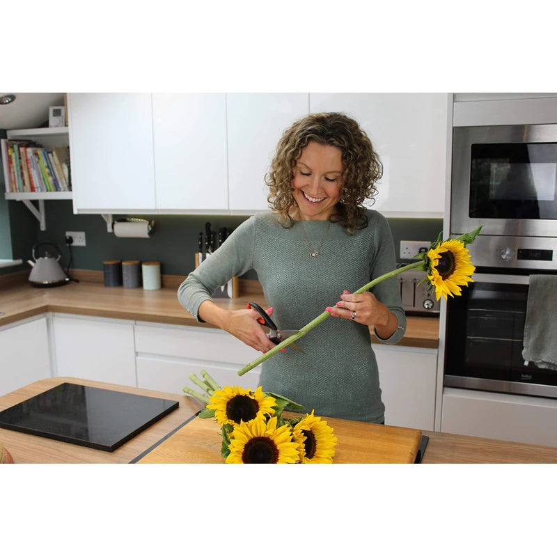 Heavy Duty All Purpose Scissor - Sabatier Professional 22cm/8.5”. Soft Grip, Dishwasher Safe, Multifunctional Utility General Use Strong Straight Edge Snips/Shears. Taylors Eye Witness