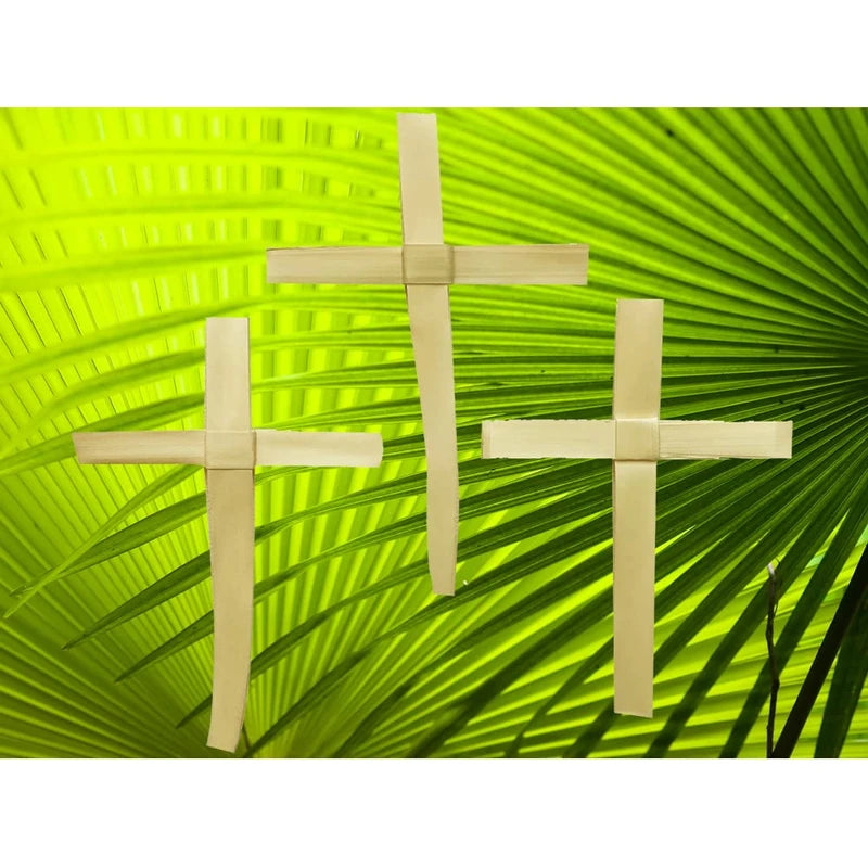 Palm Sunday Palm Crosses - Pack of 50 - 9.5" Tall
