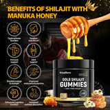 Organic SHILAJIT Gummies | Organic Pomegrenate Oil Flavor | Cane Sugar Free, Sweetened by Organic Manuka Honey | Clean Formula | Heart & Brain, Cellular Health 30 Healthy Gummies