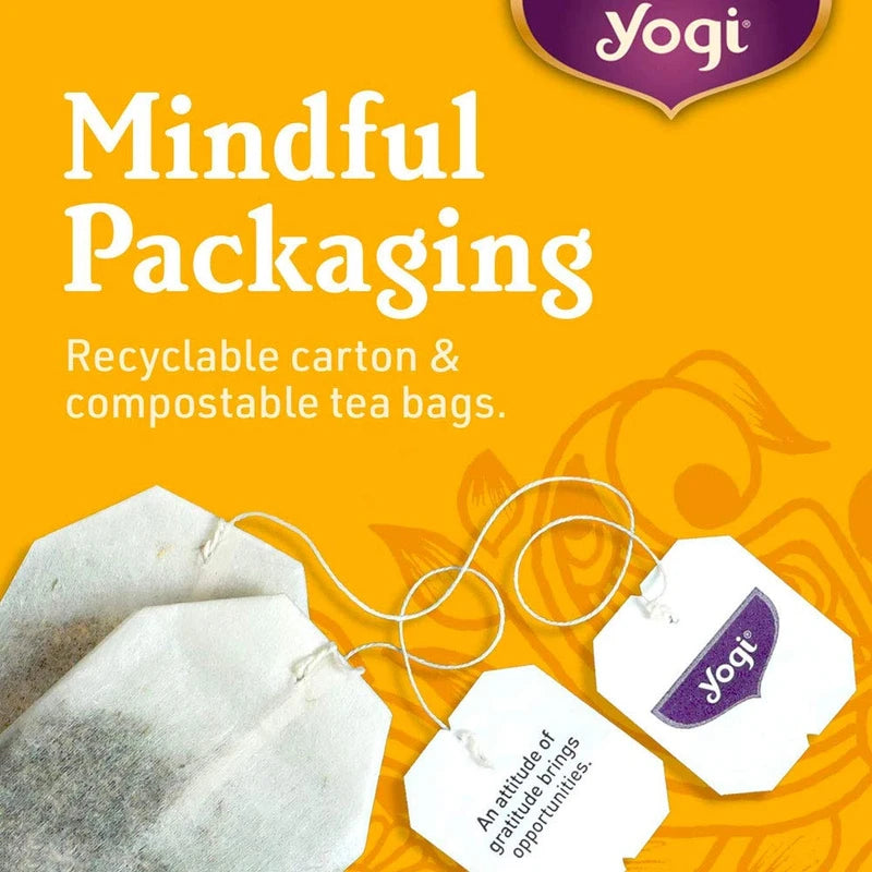 Yogi Tea Immune Support Organic Herbal Tea, 17 x 2g