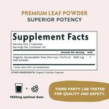 Warrior Trio - KSM-66 Ashwagandha - Moringa - Lions Mane