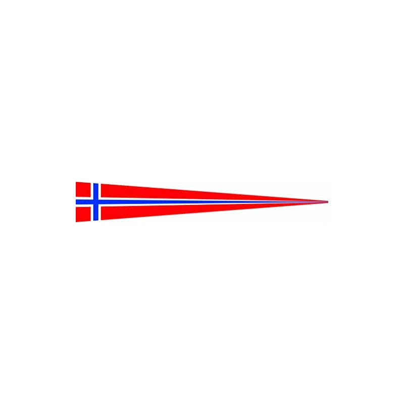 Norway Flag Flag