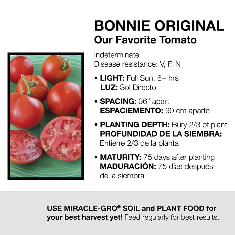 Bonnie Plants Bonnie Original Tomato Live Vegetable Plants - 4 Pack, Disease Resistant, 6 - 8 oz. Fruit Size, Great for Slicing