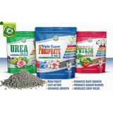 Triple Super Phosphate 0-46-0 Fertilizer Made in USA - Bloom Booster - TSP Pure Phosphorus Plant Food for Plants & Flower Gardens - Fruit, Vegetables