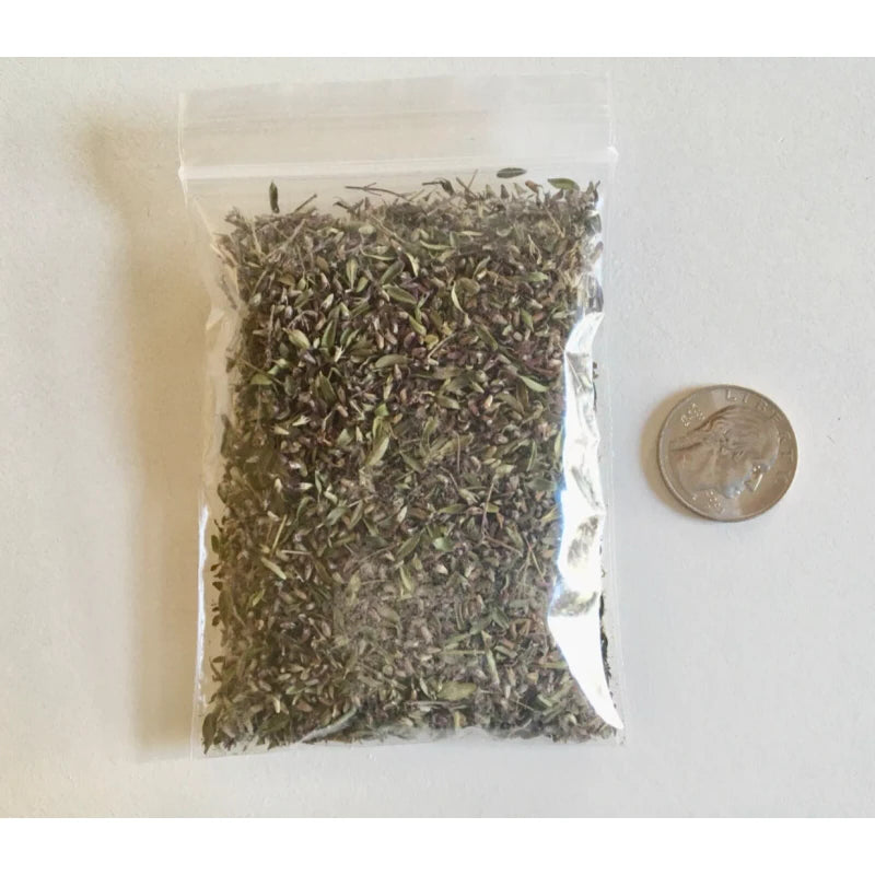 CREEPING ELFIN THYME 5,000 CREEPING ELFIN THYME SEEDS FOR GRASS REPLACEMENT, ROCK GARDENS, ETC.