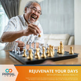 Primal Health CogniForce - Memory & Brain Health - Acetyl L-Carnitine Formula - Better Cognitive Performance - Clarity + Focus + Better Recall + Calm Thinking - Dietary Supplement - 60 Capsules